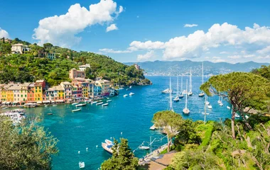 club med cruise video