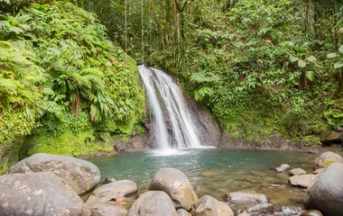 Cascade aux écrevisses en Guadeloupe