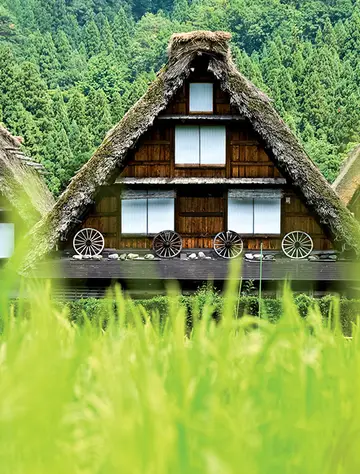 Les voies du Tokaido