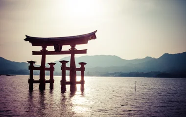 Shoguns, samouraïs et cerisiers