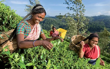 Etal d'épices lors d'un voyage au Sri Lanka