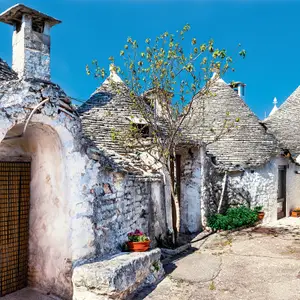Saveurs du Sud et Trulli