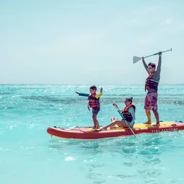 Stand up Paddle