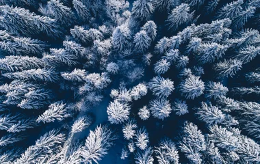 Take an ‘emergency’ ski pack