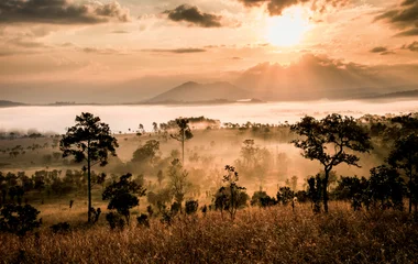 Parc Kruger en Afrique du Sud