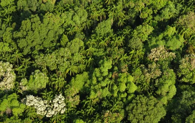 マレーシア チェラティンビーチ