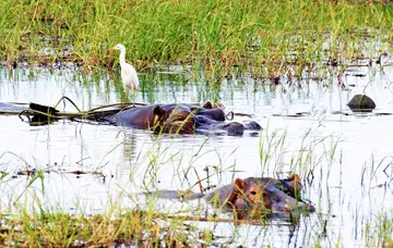 Réserves au fil de l'eau