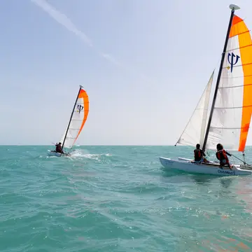 Voile
