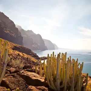 Les Canaries d'île en île