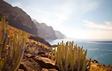 The Canaries from island to island