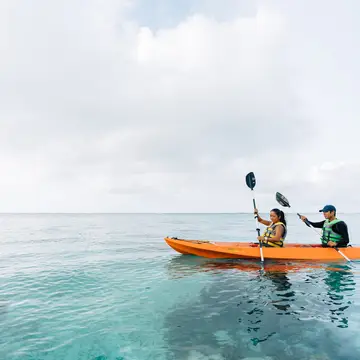 Kayak