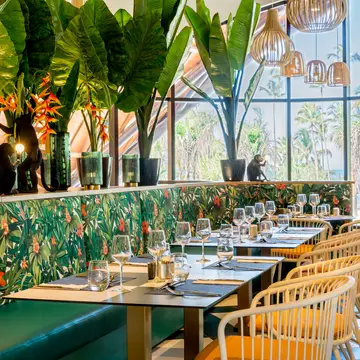 Restaurants & Bars