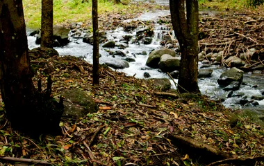 Cascade à l'île Maurice