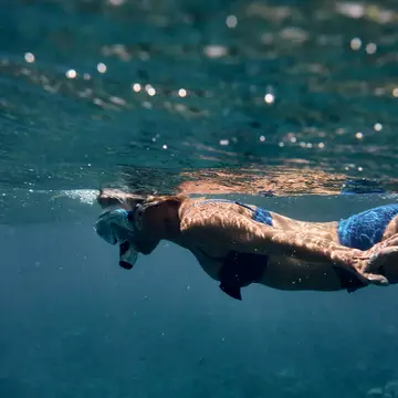 Snorkeling
