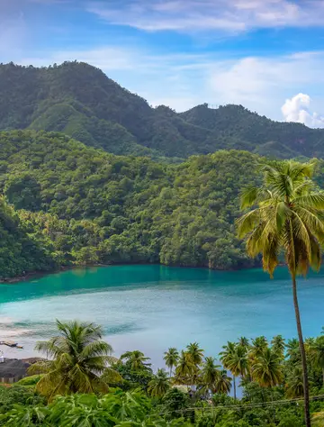 Perles des Grenadines