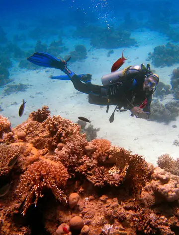 Scuba diving