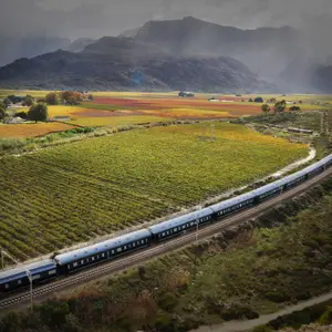 slow travel scenic train in the summer