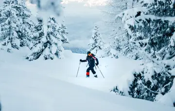 Snowshoe hikes