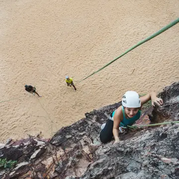 Escalade