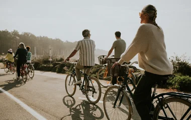 la palmyre en france