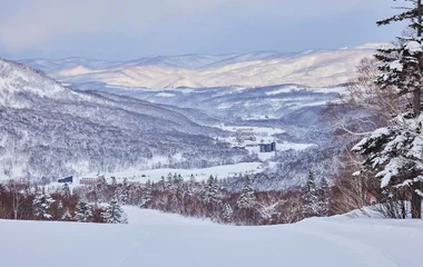 Festival de Neve de Sapporo