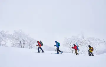 Trekking