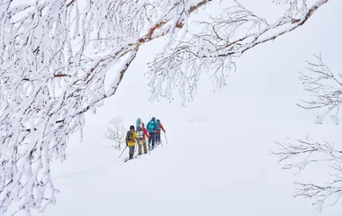 Skieurs de fond