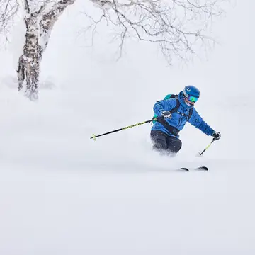 Ski