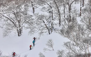 Groupe de skieurs de fond