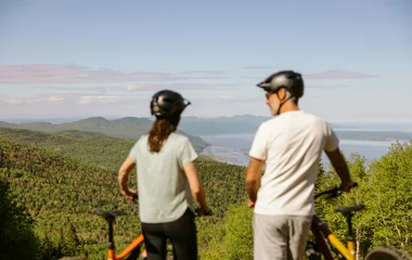 Bestes aus zwei Welten