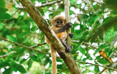 Biodiversité captivante
