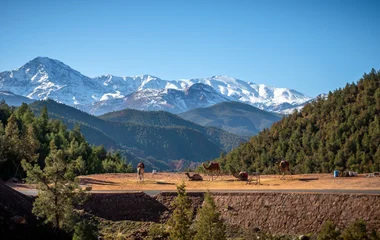 Vallée de l'Ourika au Maroc