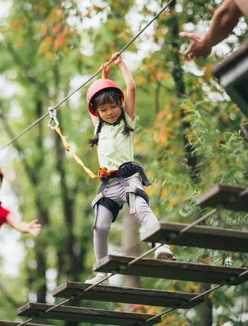En la copa de los árboles
