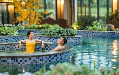 Wellness oasis