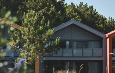 La Palmyre Atlantique paysage