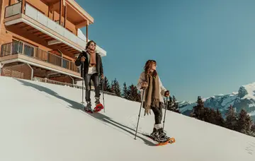 Snowshoe hikes