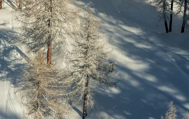 Resort Club Med Pragelato Sestriere