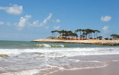 Vue depuis la plage sur le Club Med La Palmyre Atlantique