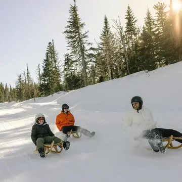 Luge
