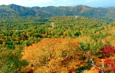 Natural playground