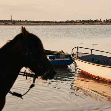 Horseback riding
