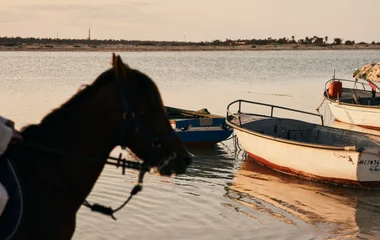 Djerba la Douce, Tunesien