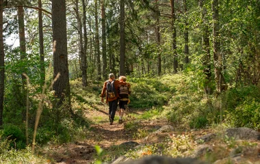 Randonnée au Canada