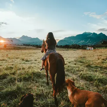 Passeios a cavalo