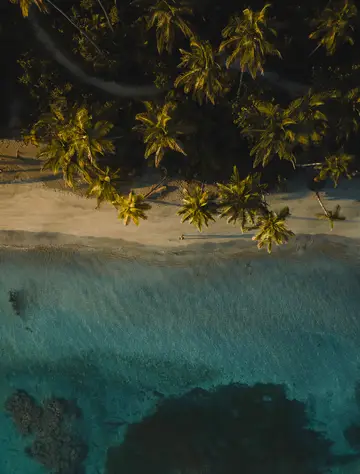 Caribbean adventure