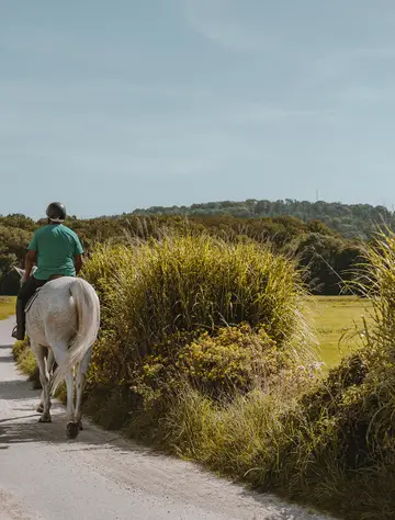Horseriding
