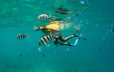 Tropical seafari