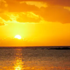 Apéritif au coucher du soleil - au son de la musique live