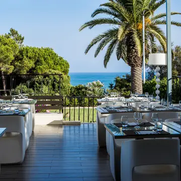 Restaurants & Bars