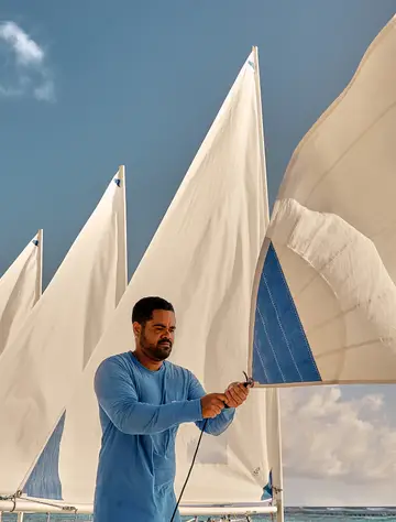 Voile